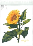 3D-Bildvorlage Sonnenblume