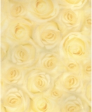 Transparent Rosen beige