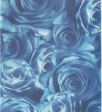 Transparentpapier Rosen blau