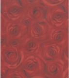 Transparent Rosen rot