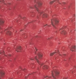Transparent Rosen rot